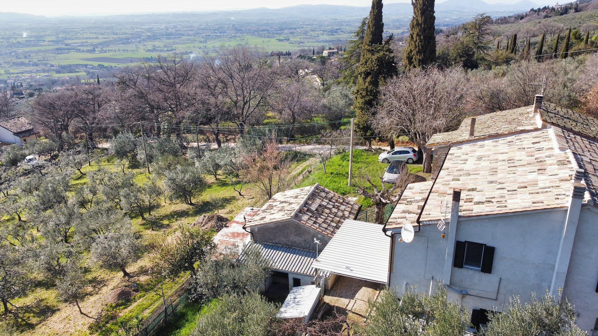 dji_fly_20250306_150620_504_1741291621301_photo_optimized
