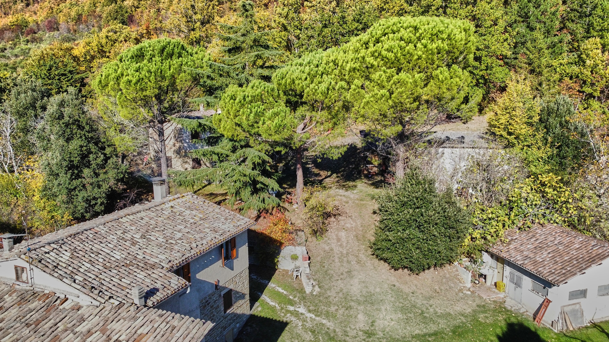 dji_fly_20251106_103526_611_1762423049819_photo_optimized